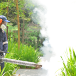 Best Practice For Pest Control In Residential Area